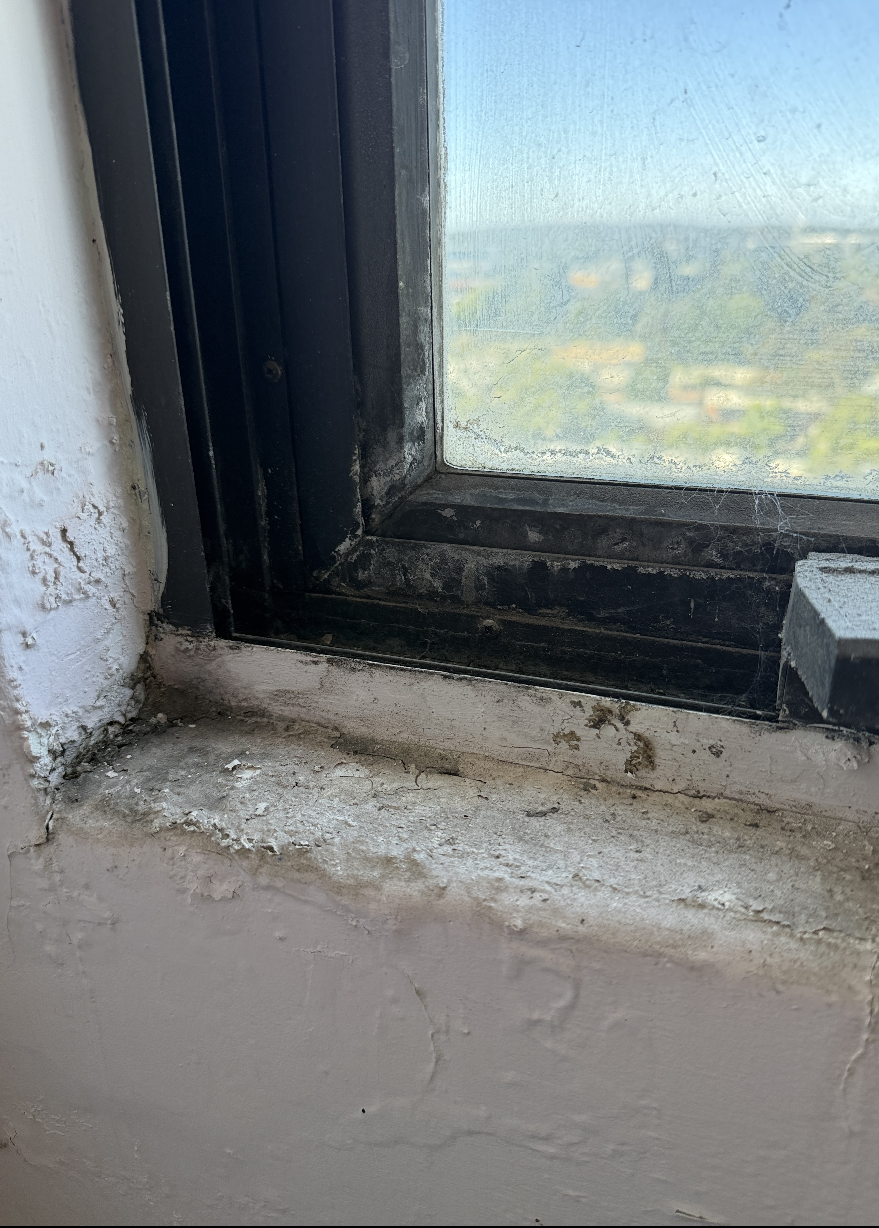 Example of water ingress and moisture staining identified during a building inspection